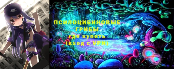 прущая мука Белокуриха