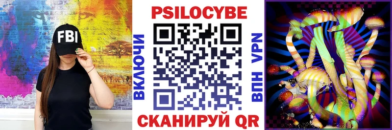 Псилоцибиновые грибы Psilocybe Кемерово