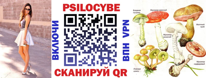 маркетплейс клад  OMG маркетплейс  Кемерово  Галлюциногенные грибы ЛСД 